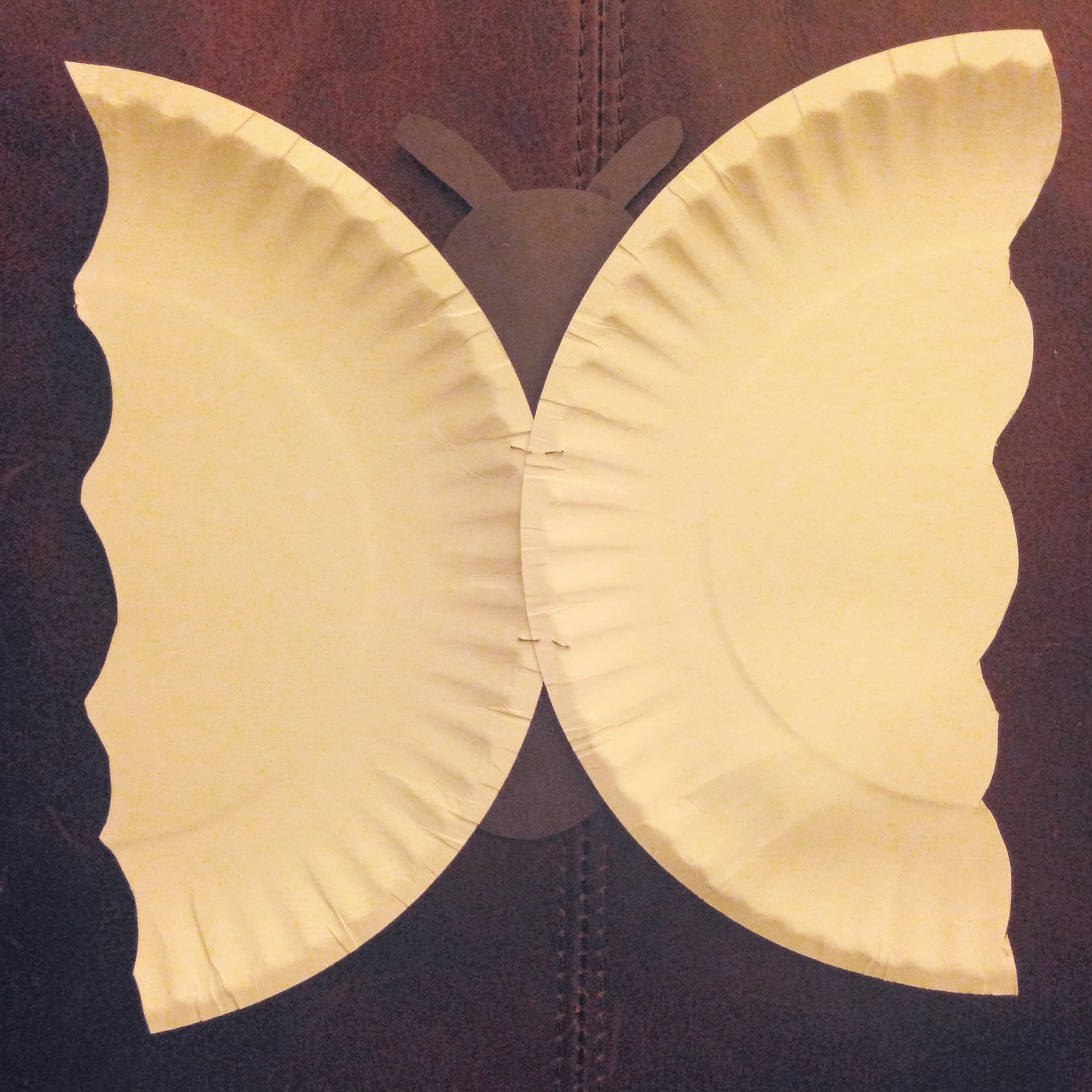 back paper plate butterfly