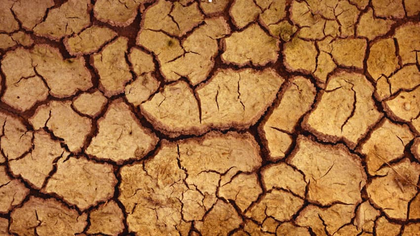 Featured image for “Turning East Texas Red Clay Into Brown Soil”