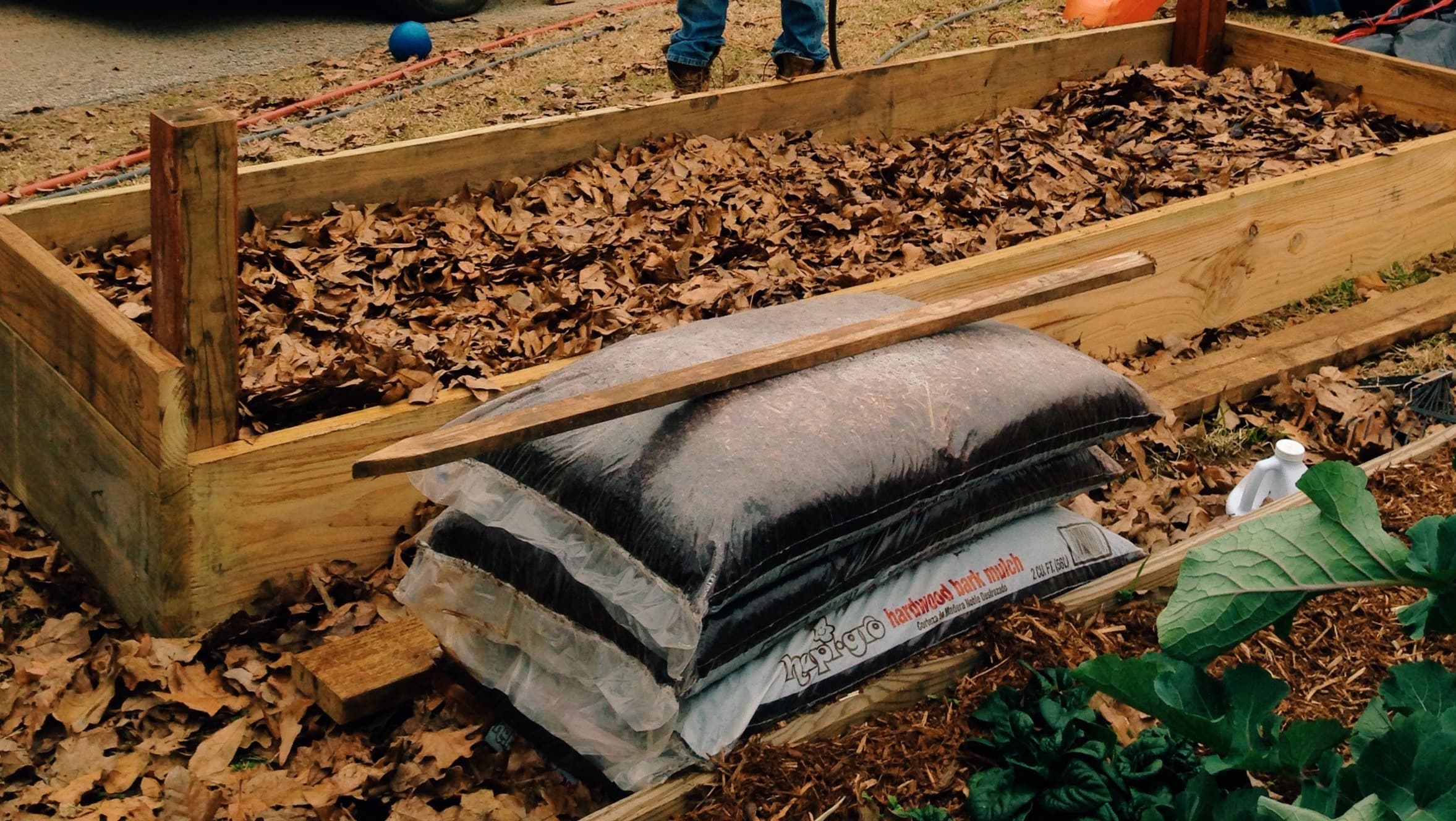 Featured image for “Raised Comfrey Bed | Part 1”