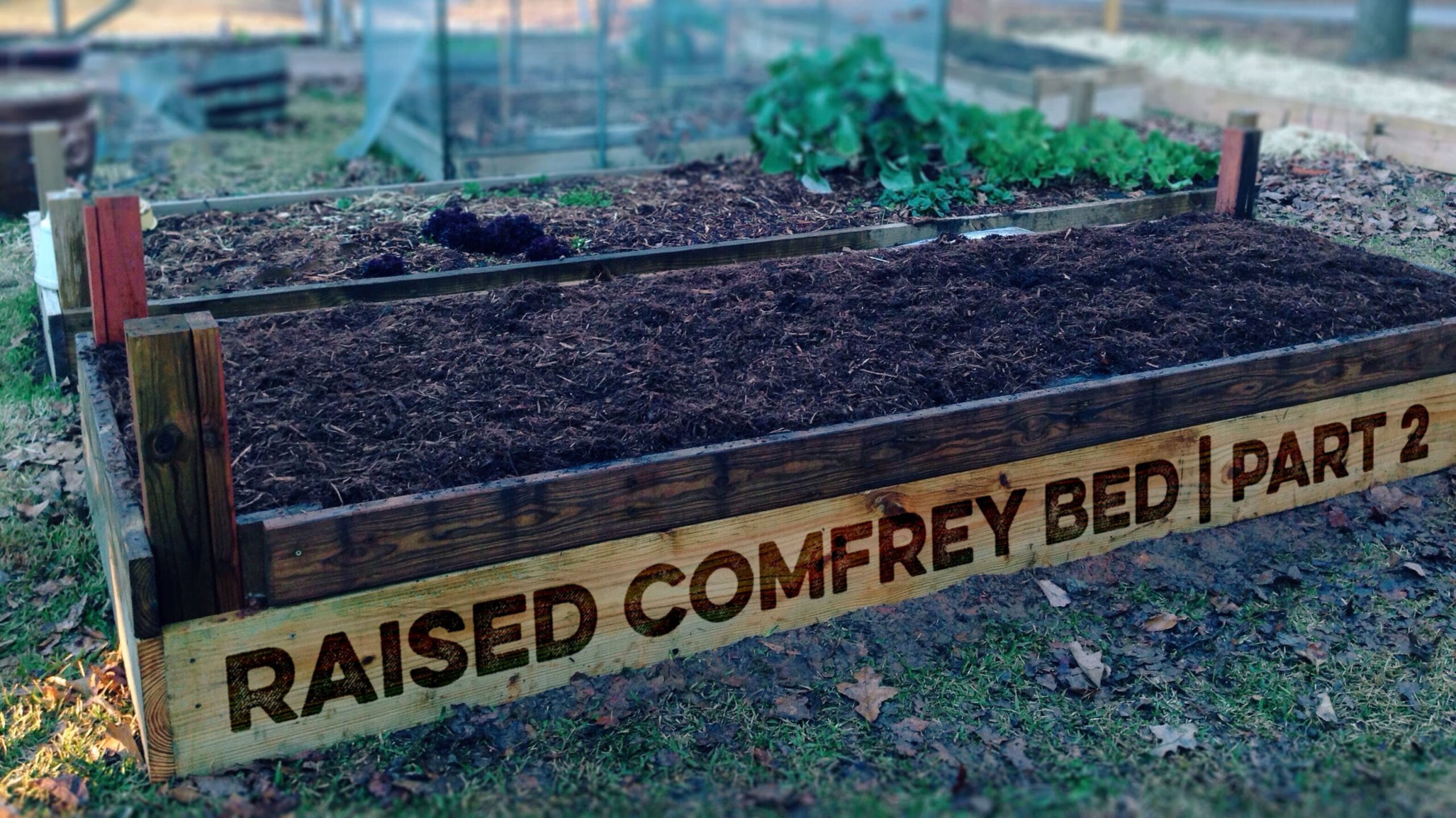 Featured image for “Raised Comfrey Bed | Part 2”