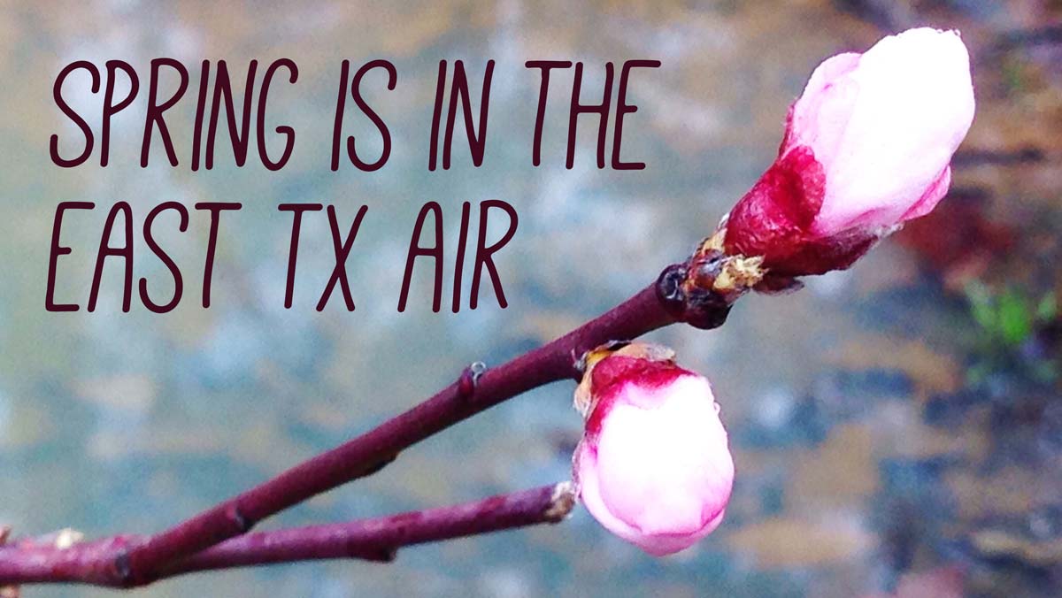 Featured image for “Spring is in the East Texas Air!”