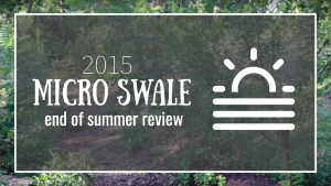 east texas homestead end of summer 2015 micro swale report