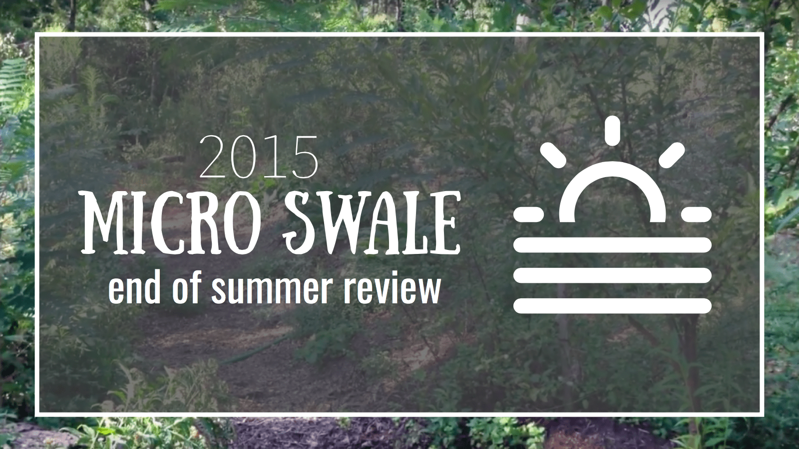 east texas homestead end of summer 2015 micro swale report