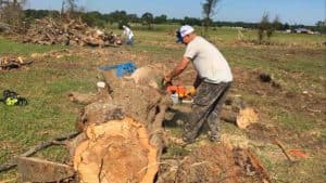 a man cutting a large tree in the canton texas tornado aftermath