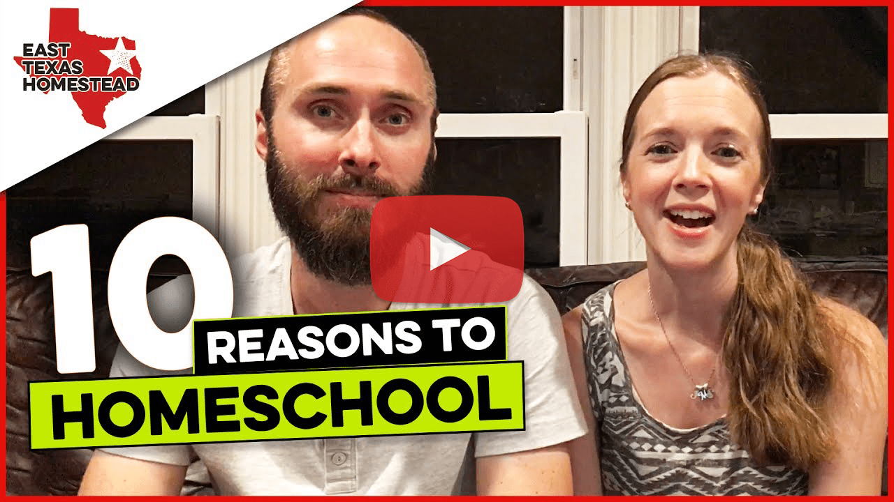 10 reasons why homeschooling is good and right for our kids