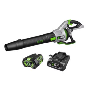 EGO Leaf Blower