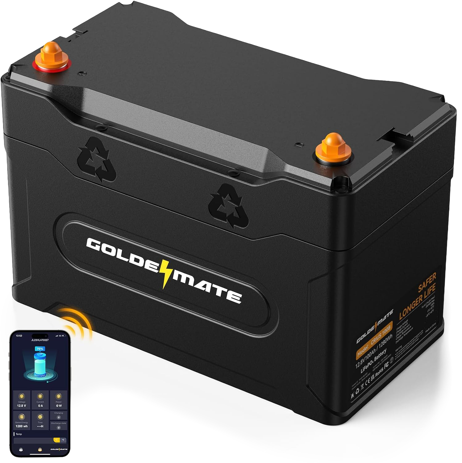 GOLDENMATE 12V 100Ah Group 31